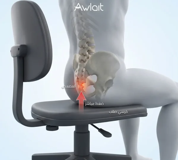 تشريح عظمة العصعص وسبب الألم عند الجلوس