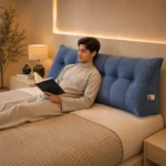 Back cushion couch